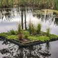Picture of Floating Wetlands