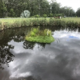 Picture of Floating Wetlands