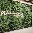 Picture of Green Walls