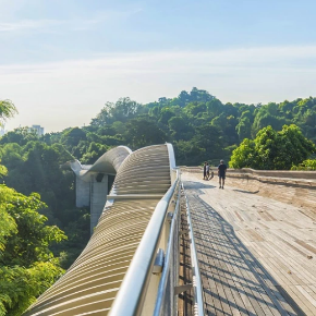 Picture for category Structure